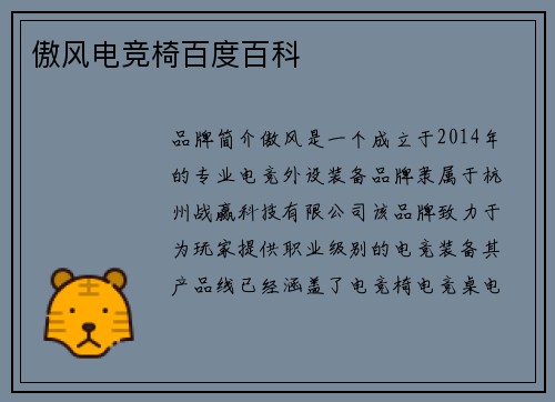 傲风电竞椅百度百科